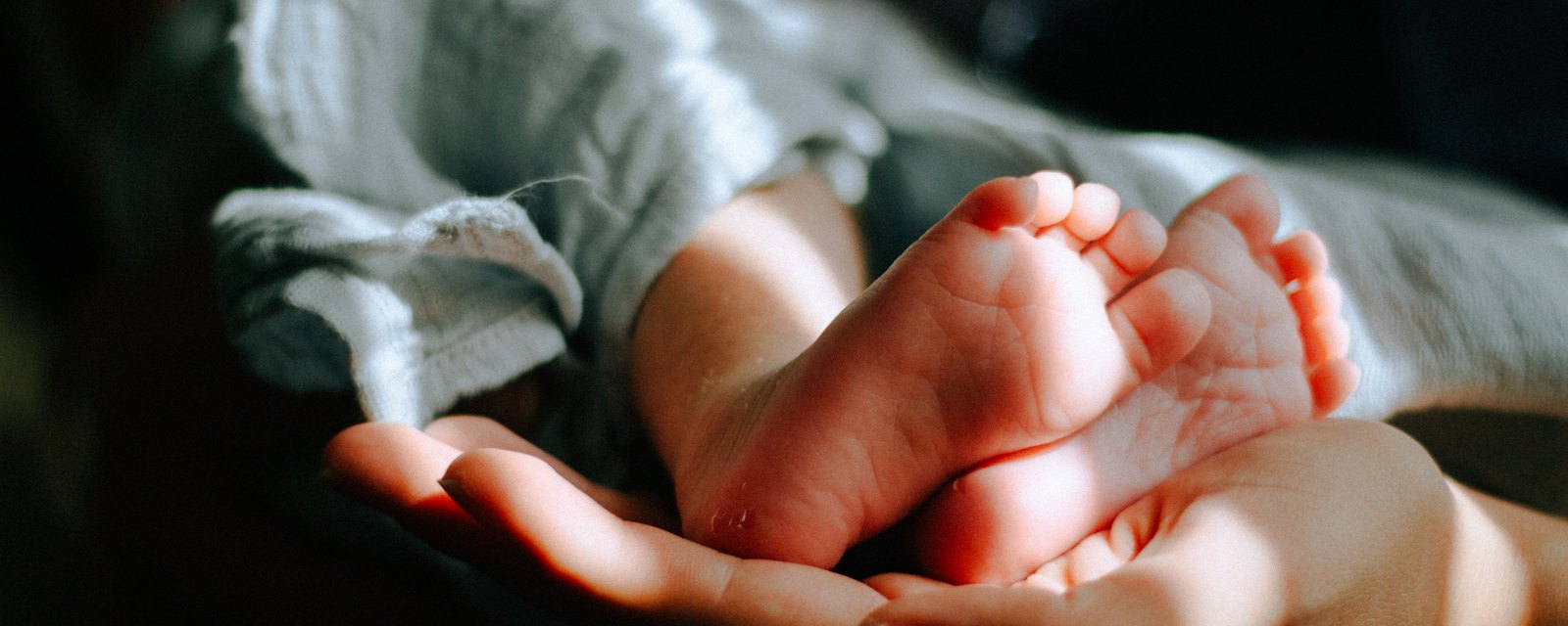 A parent’s hands cradling a newborn baby’s feet