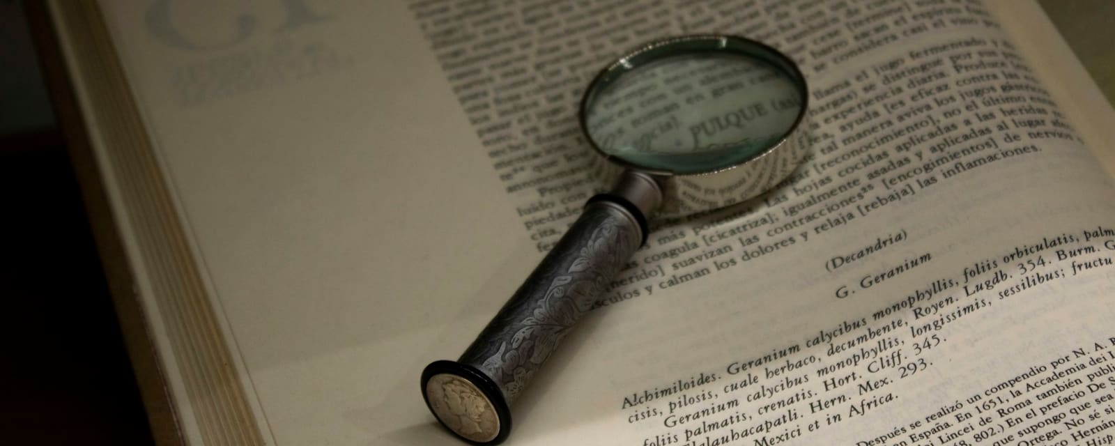 A magnifying glass resting on the pages of an open book